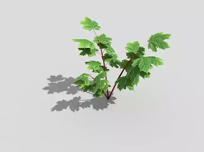 low poly tree maple leaf