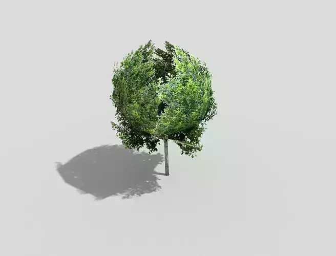 low poly tree in shape of circle
