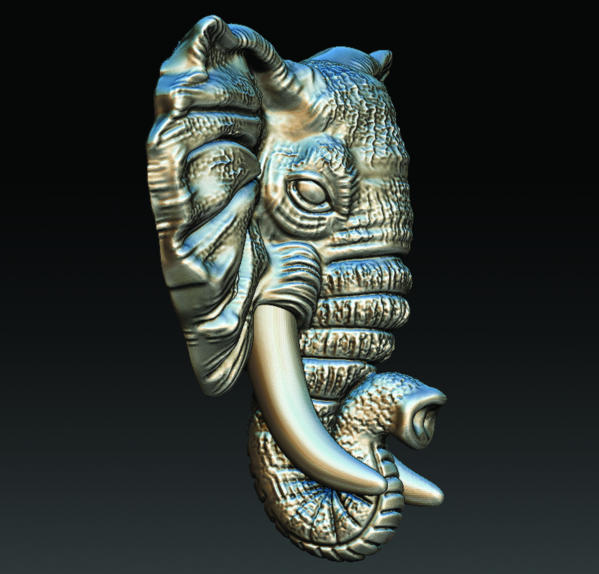 Elephant  3D print model_4
