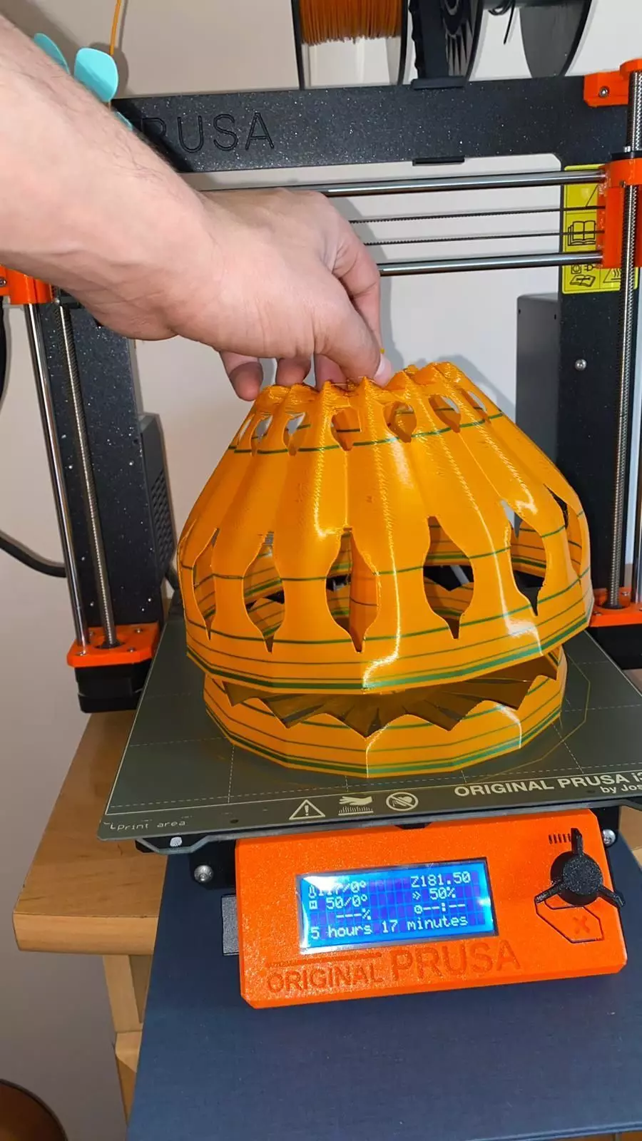 Pumpkin Cup Free 3D print model