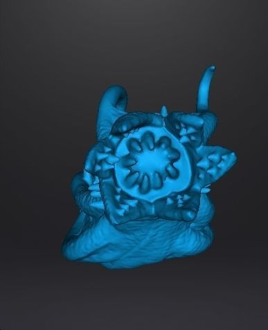 COSMIC HORROR DHOLE SQUID MONSTER MINIATURE MODEL FIGURE FANTASY 3D print model_8