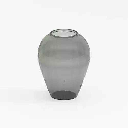 Elegant Glass Vase