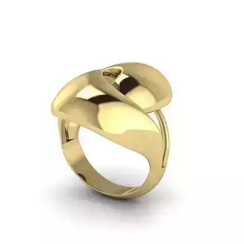 Ring without stones N01404