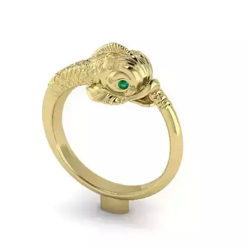 Ring Fish N01387