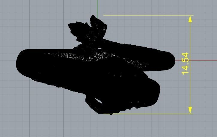 Ring Fish N01387 3D print model_8