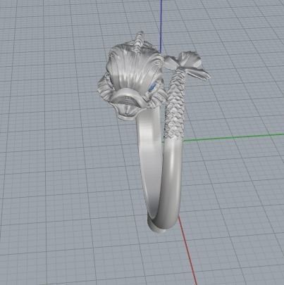 Ring Fish N01387 3D print model_4