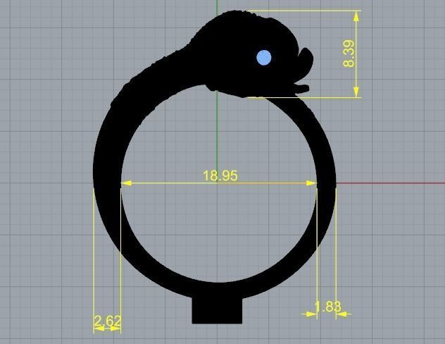 Ring Fish N01387 3D print model_6