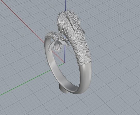 Ring Fish N01387 3D print model_5