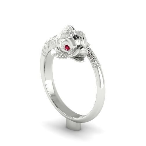 Ring Fish N01387 3D print model_2