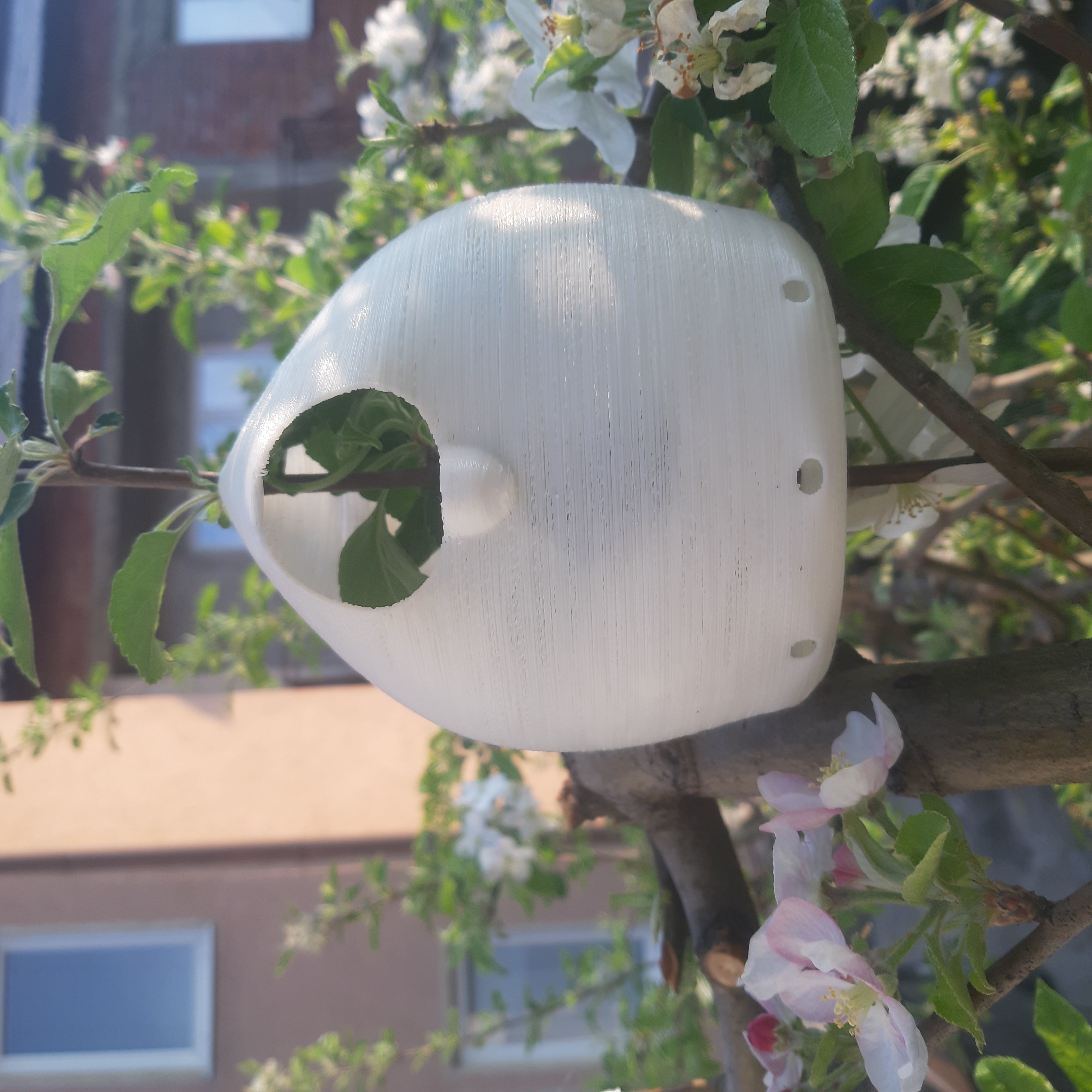 Balloon Birdhouse  Free 3D print model_4