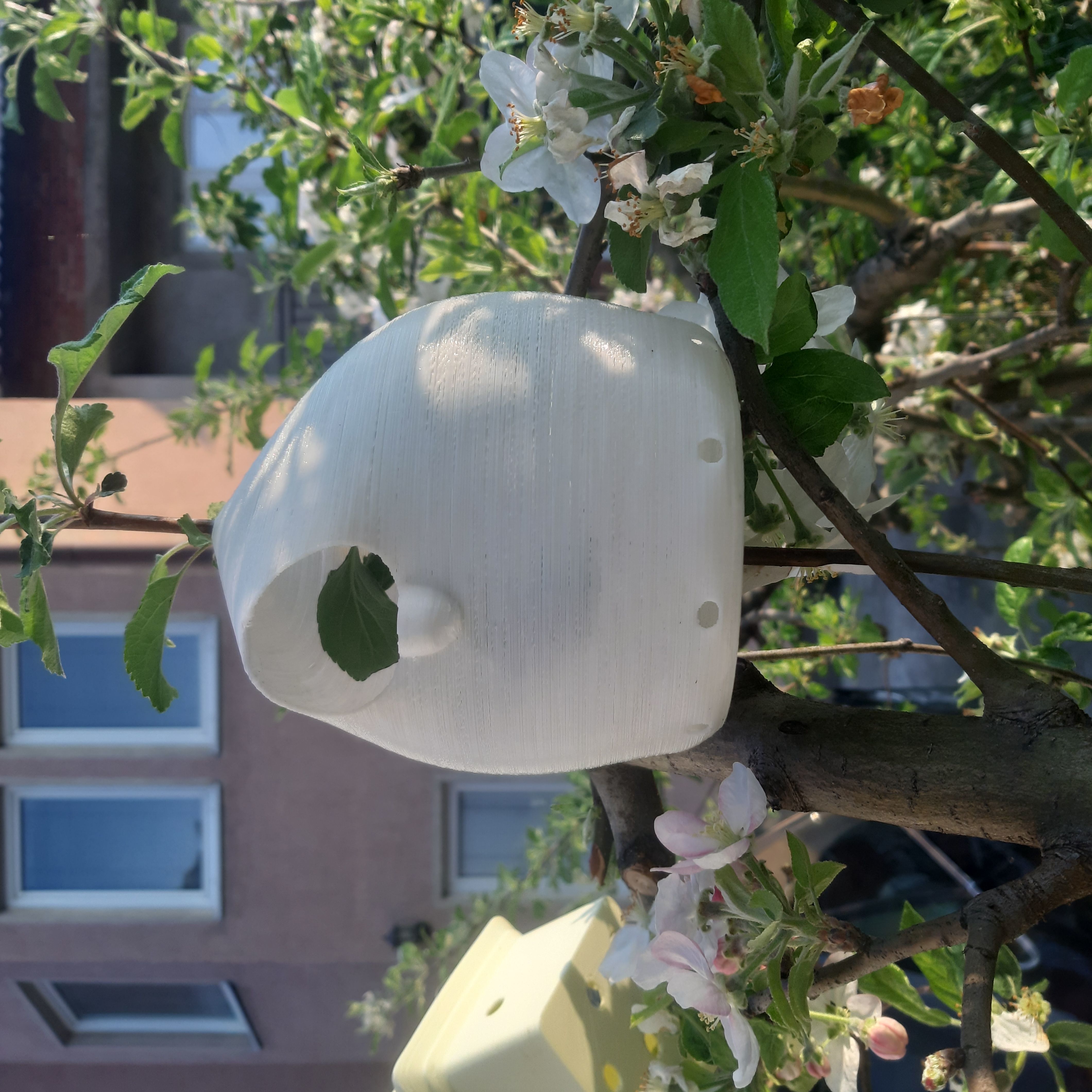 Balloon Birdhouse  Free 3D print model_1