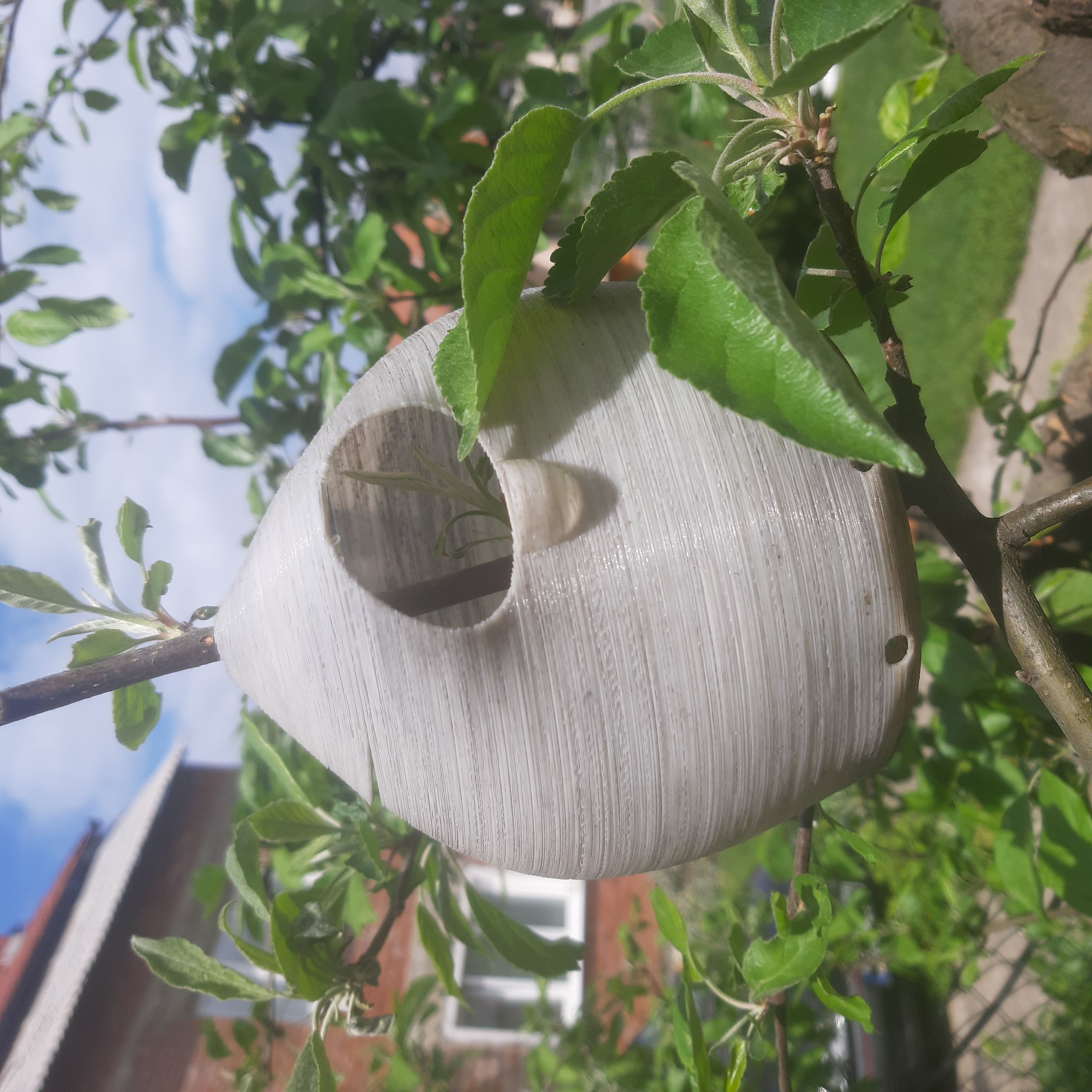 Balloon Birdhouse  Free 3D print model_5