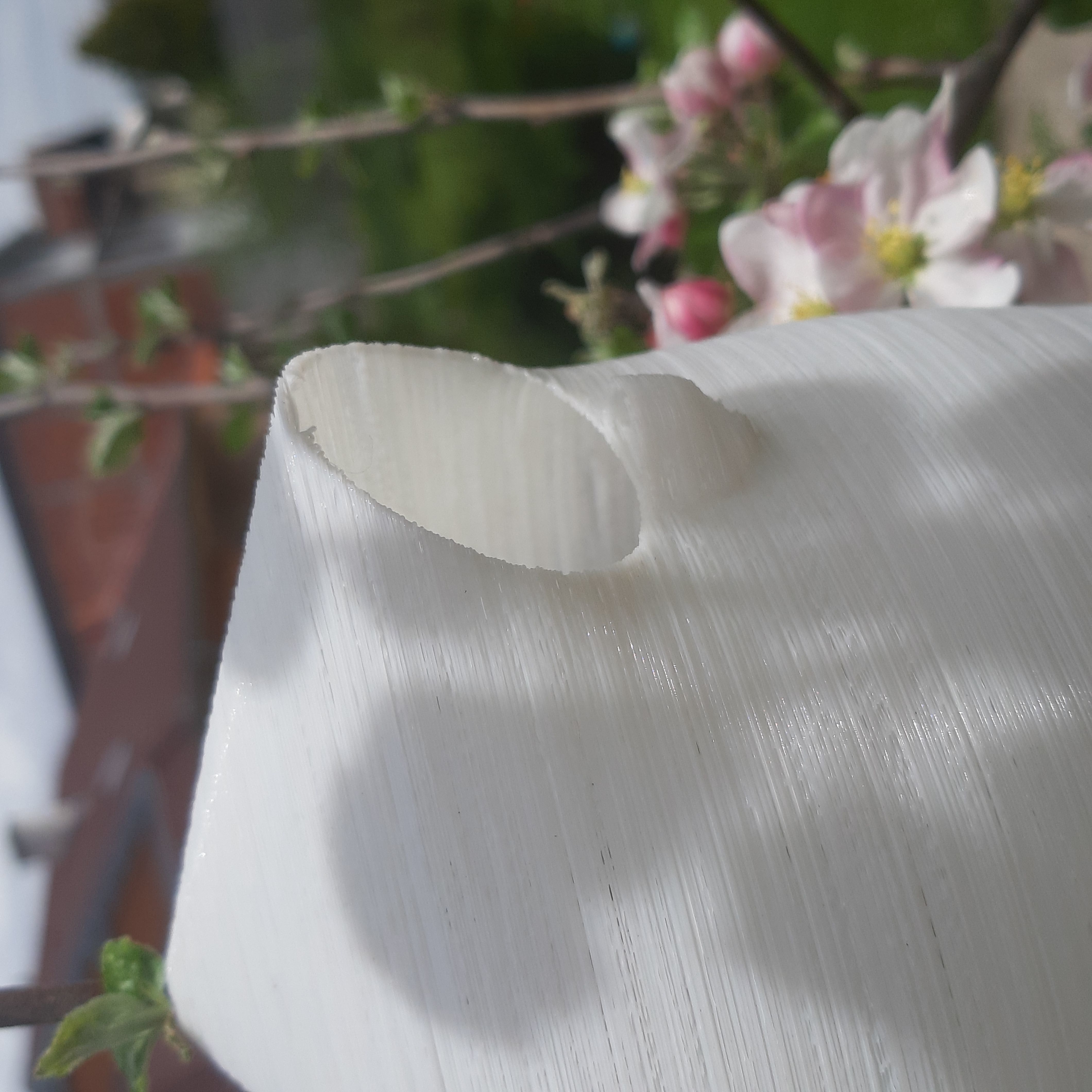 Balloon Birdhouse  Free 3D print model_3