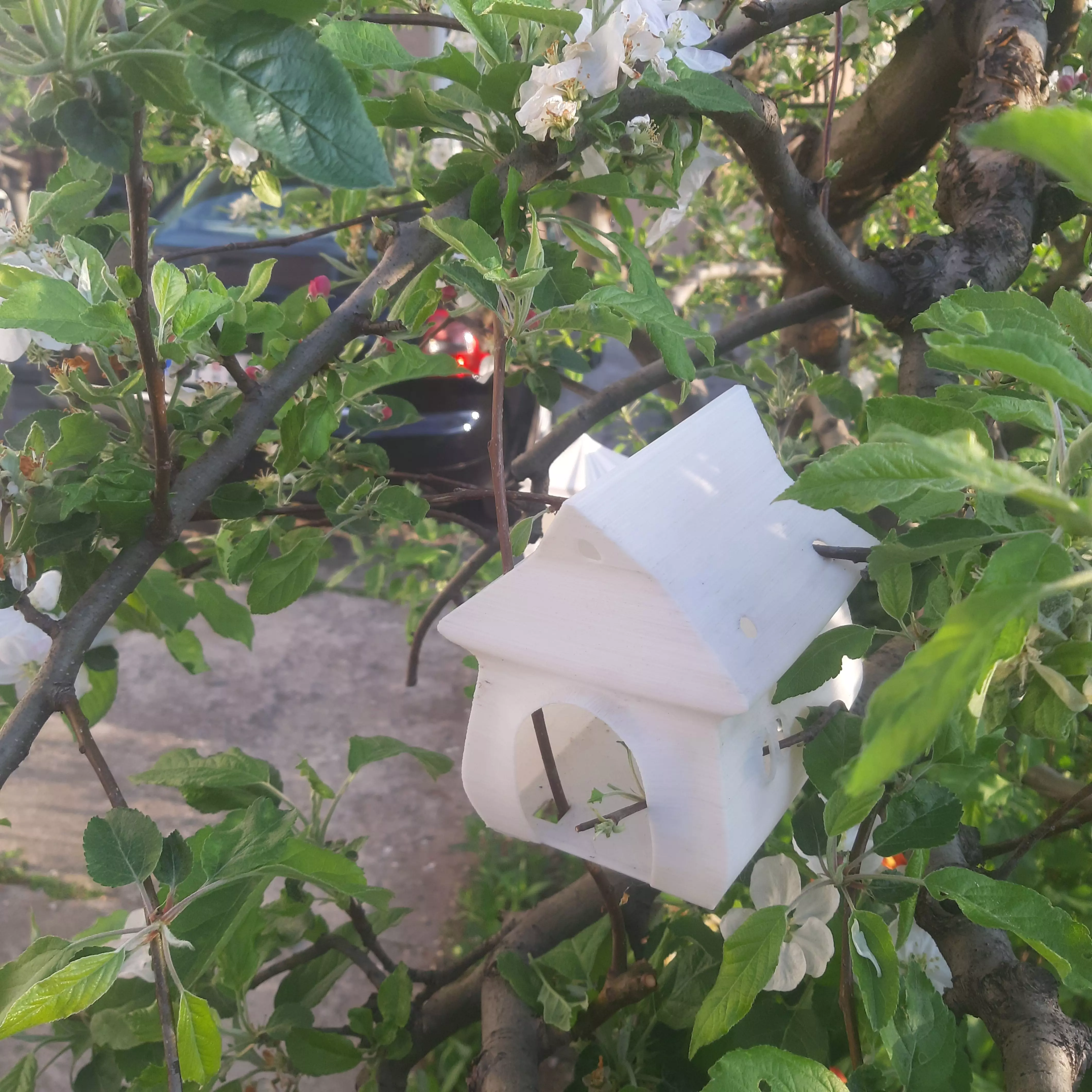 Longy Birdhouse Free 3D print model