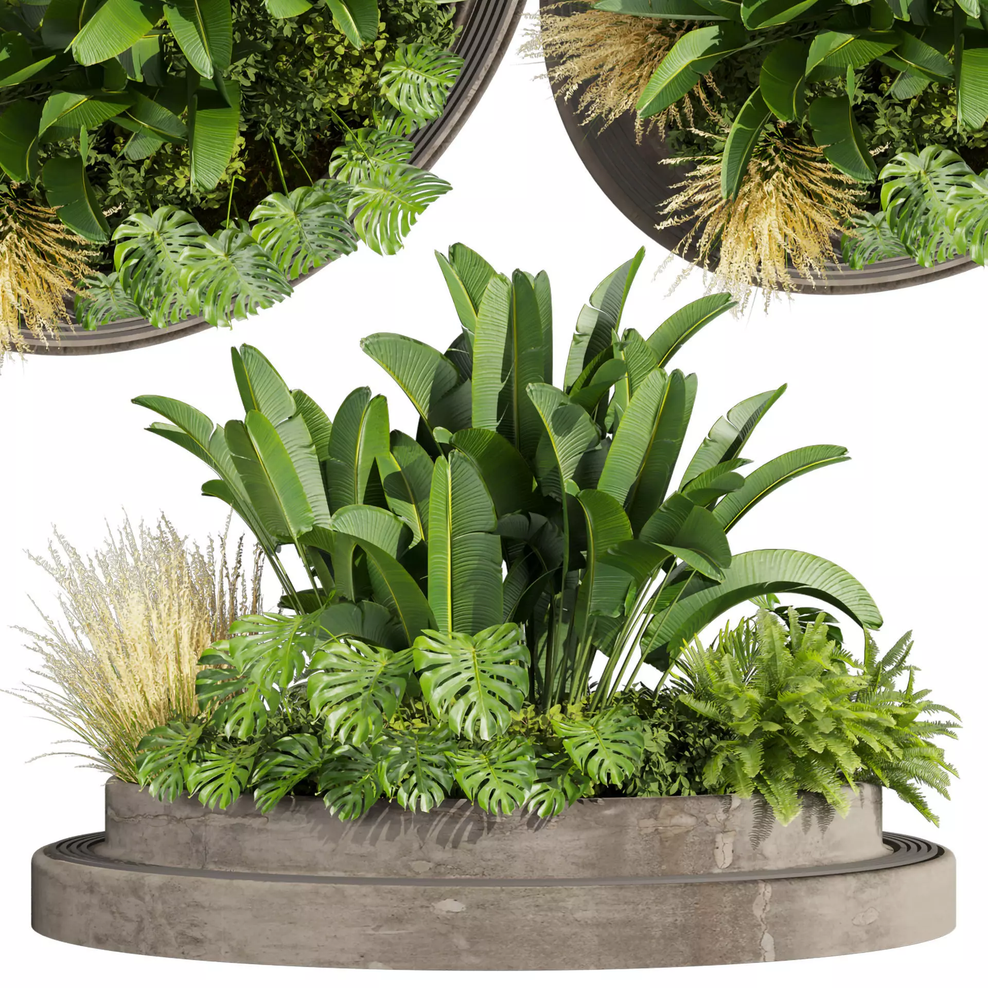 Collection plant vol 544 - garden - Landscape Design - backyard 3D model
