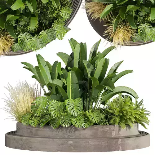 Collection plant vol 544 - garden - Landscape Design - backyard 