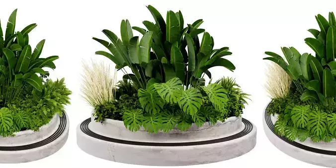 Collection plant vol 544 - blender model 