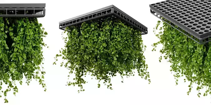 Collection plant vol 545 - blender model 