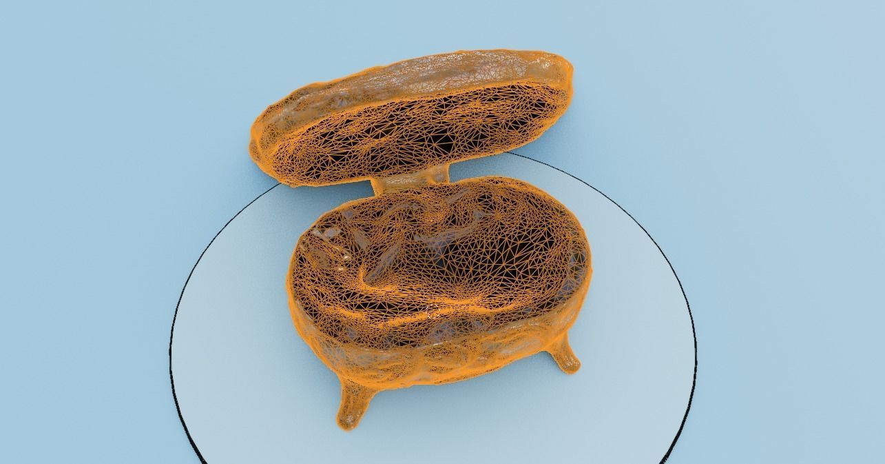 Golden chest 3D model_4