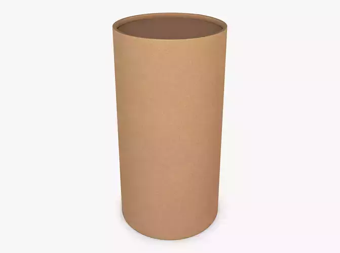 Package Cardboard Tube M 1 3D model