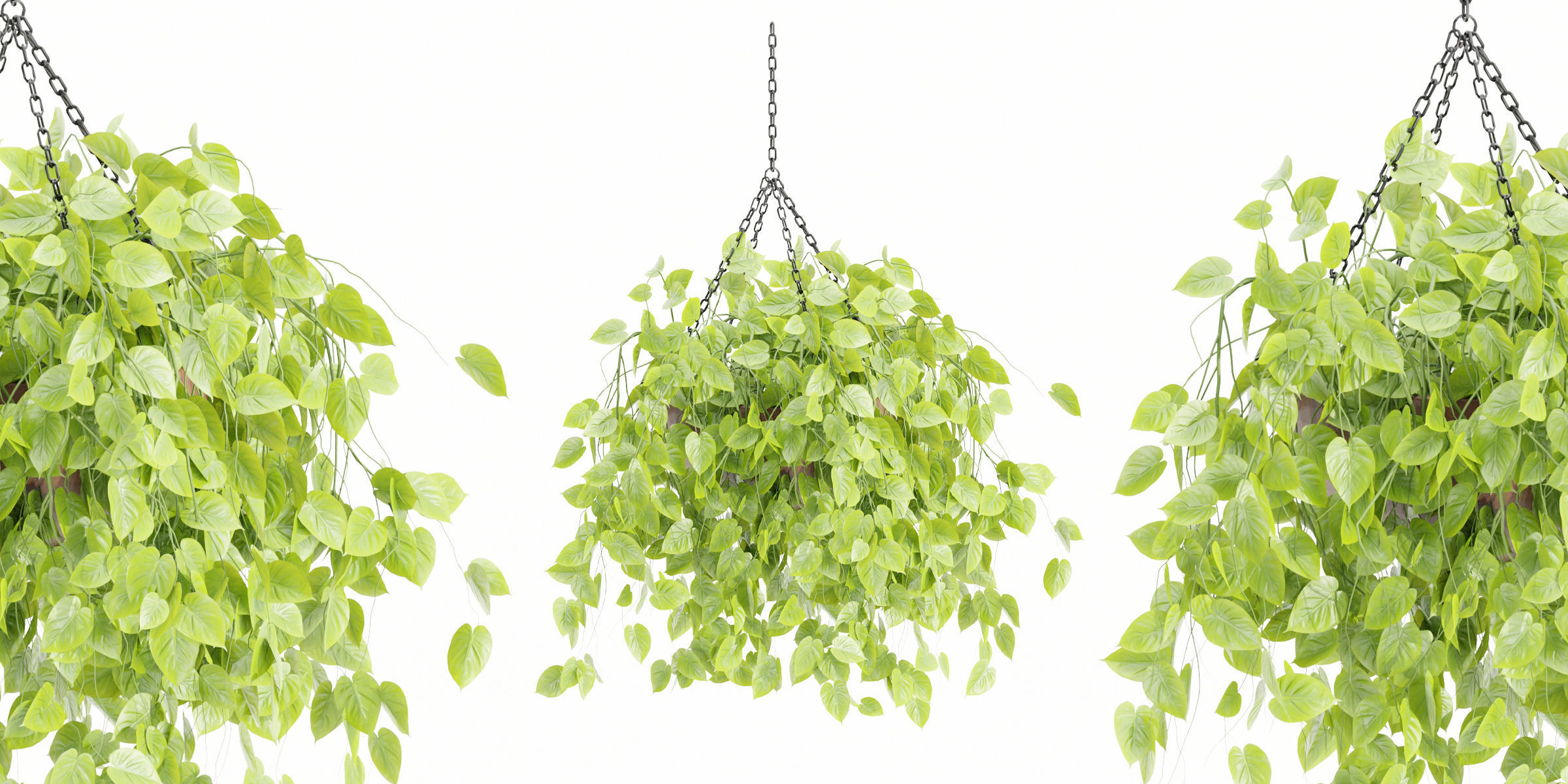 Hanging plants collection vol 142-Blender 3D model_4