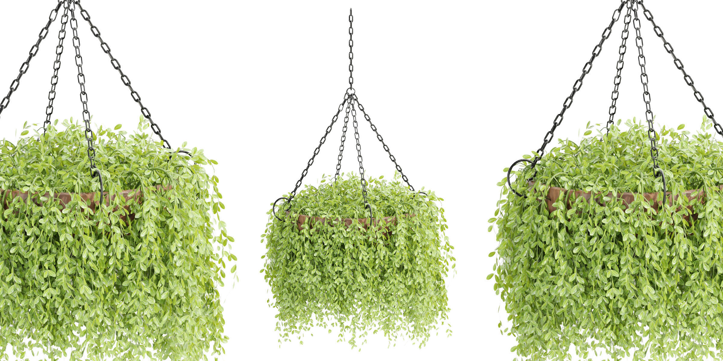 Hanging plants collection vol 142-Blender 3D model_5
