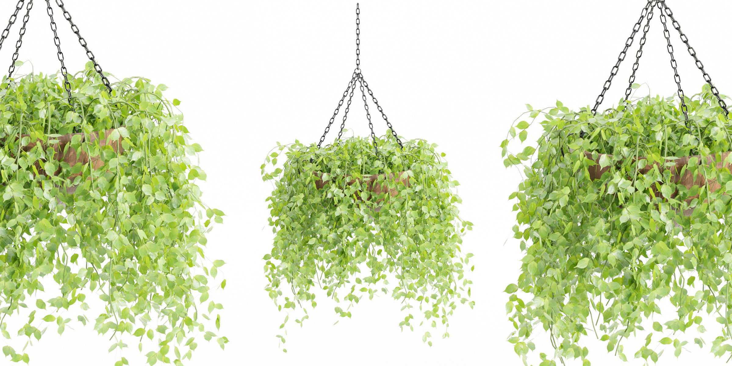 Hanging plants collection vol 142-Blender 3D model_1