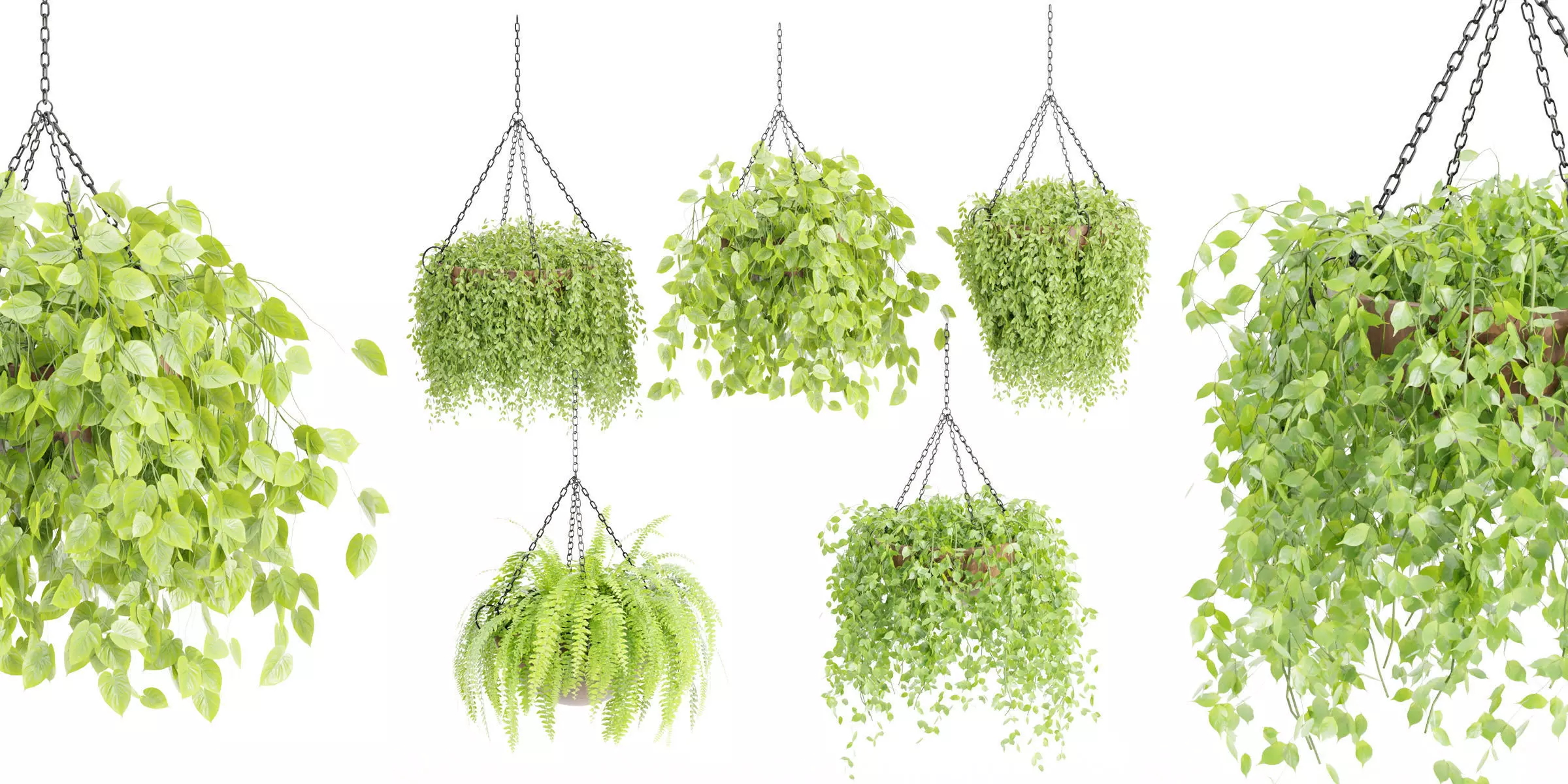 Hanging plants collection vol 142-Blender 3D model_0