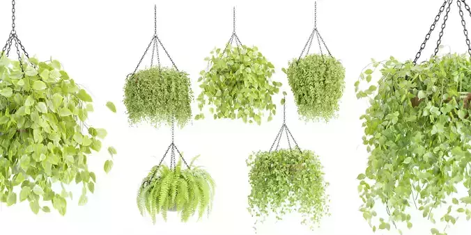 Hanging plants collection vol 142-Blender 3D model