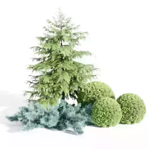 Juniper Garden collection vol 143-Blender