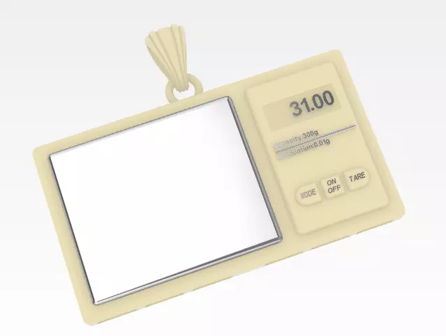 DIGITAL SCALES PENDANT 3D print model