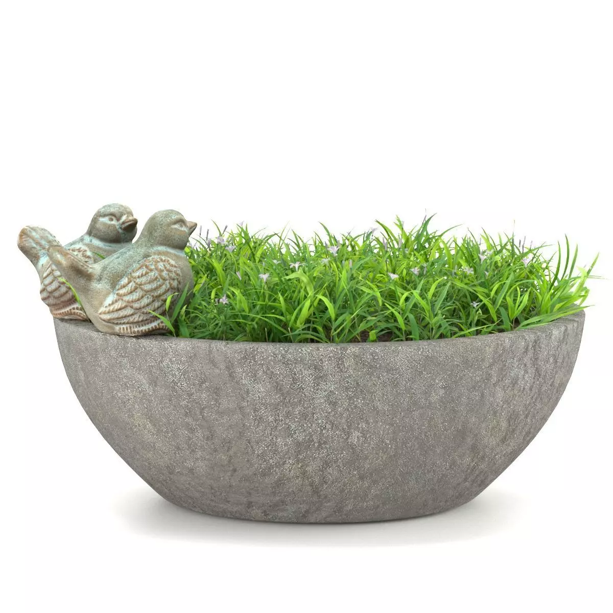 Outdoor plant C 01 3D model