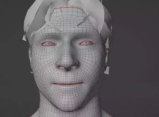Basemesh 3d man