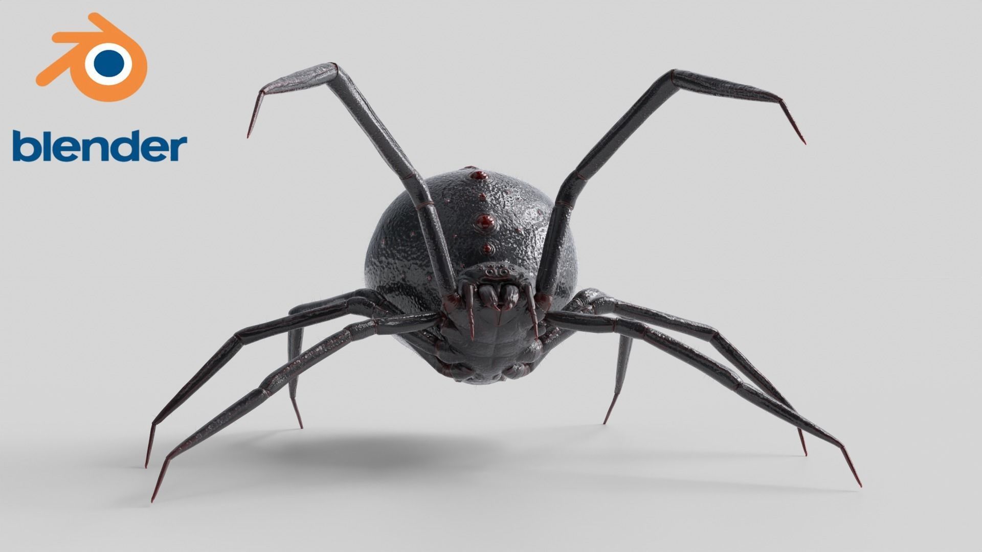 Spider Rigged Low-poly 3D model_7