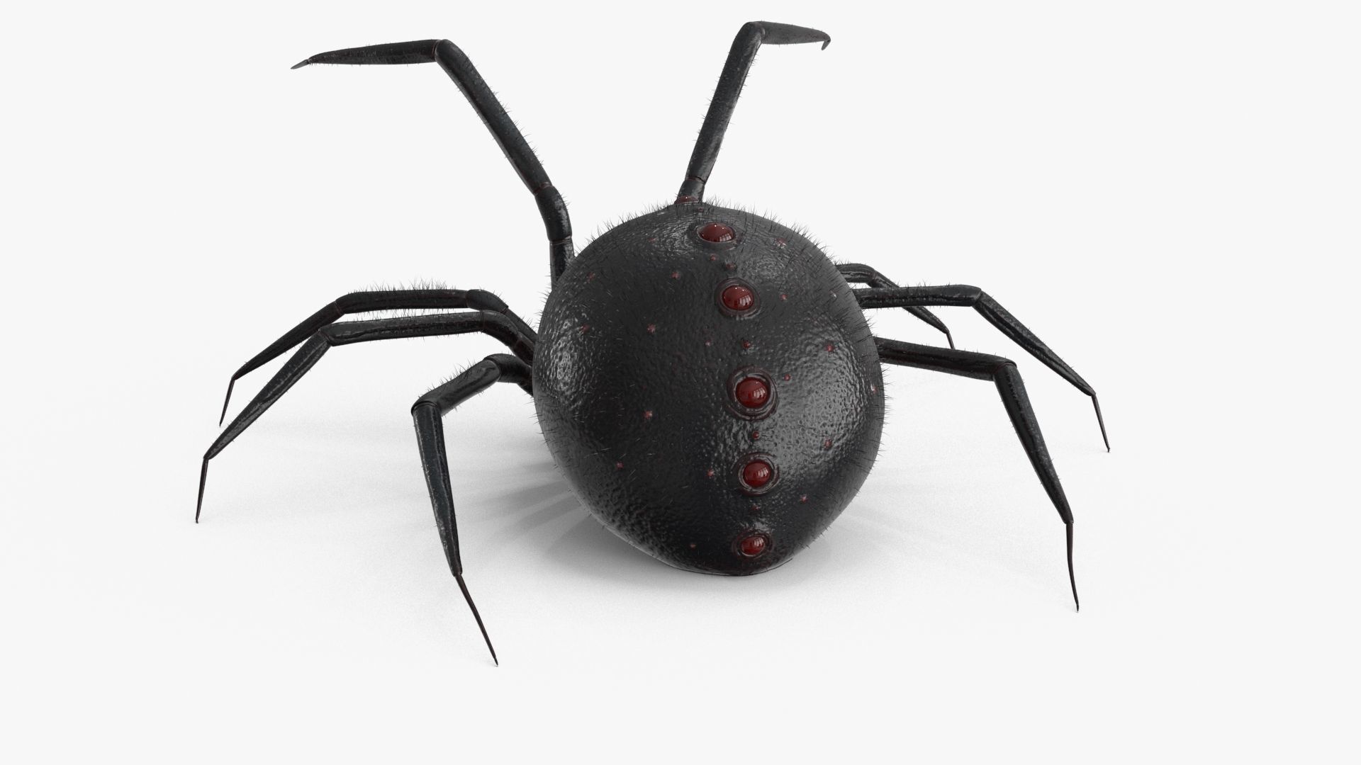 Spider Rigged Low-poly 3D model_13