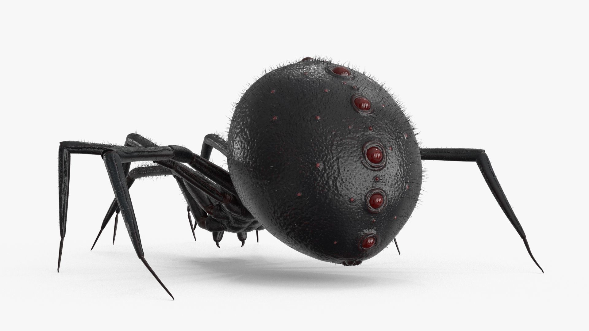 Spider Rigged Low-poly 3D model_4