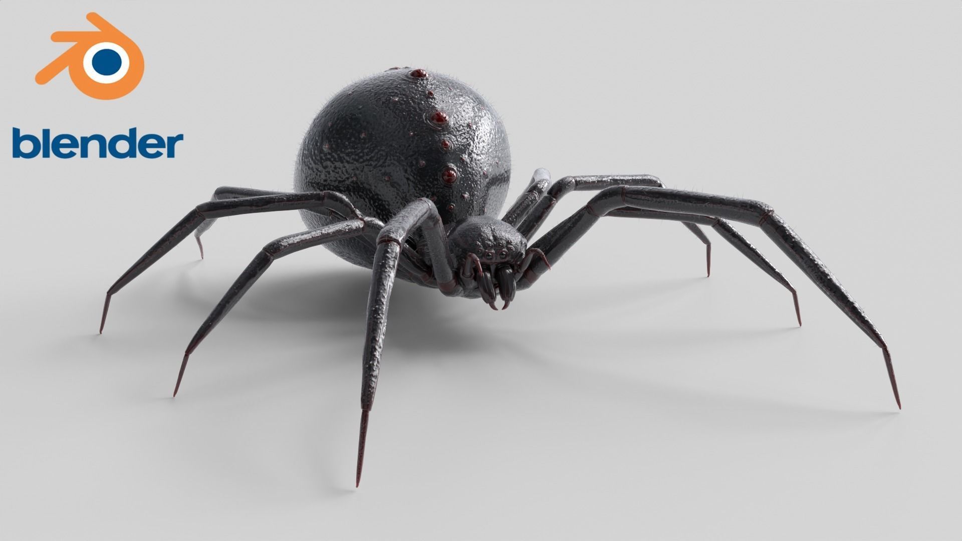 Spider Rigged Low-poly 3D model_6