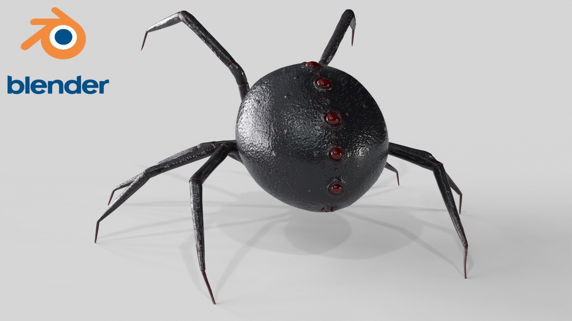 Spider Rigged Low-poly 3D model_8