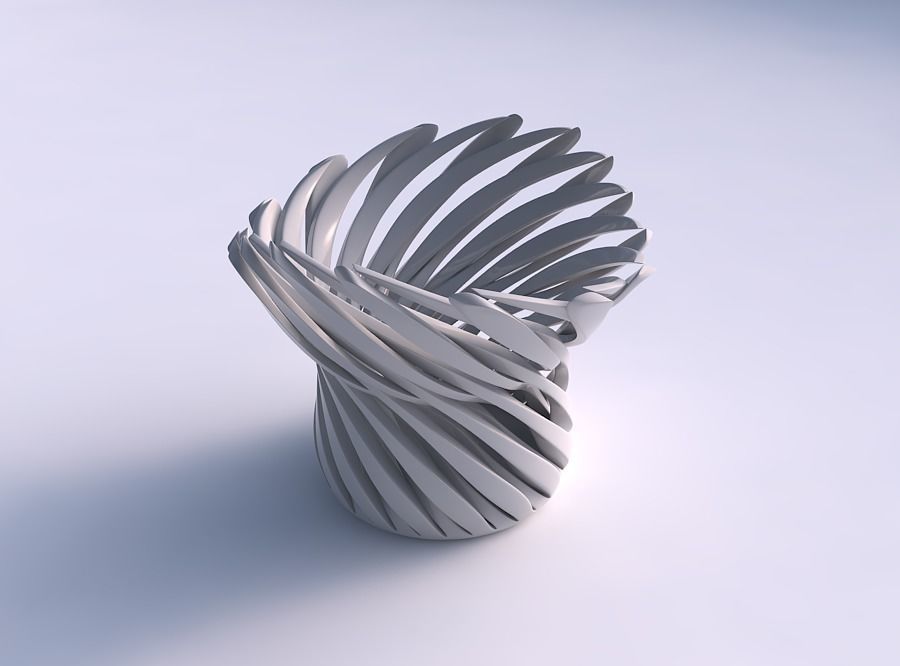 Bowl funnel with twisted sharp muscle structure twisted and s... 3D print model_0