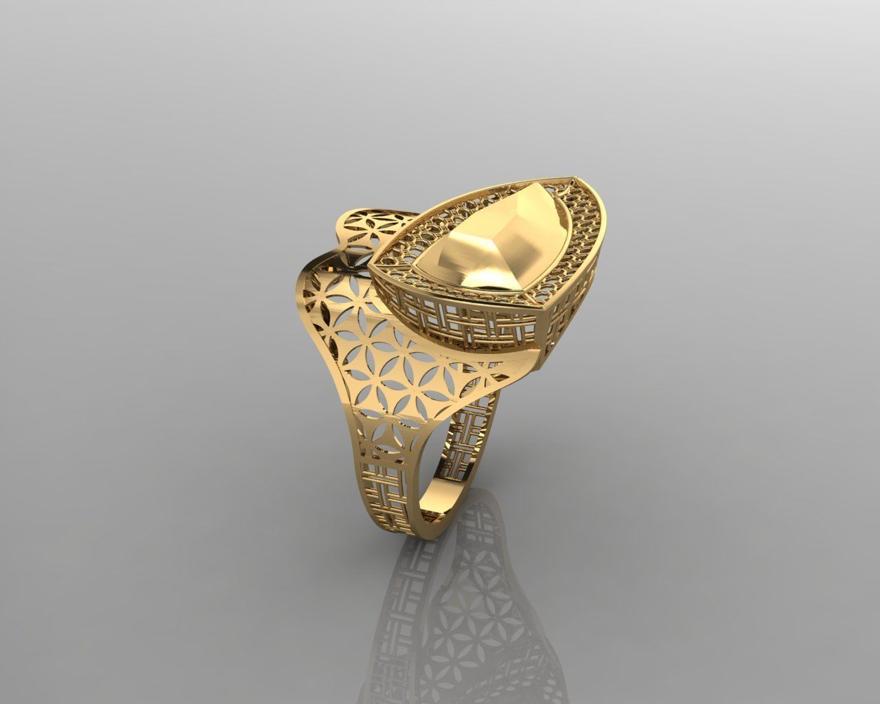 torturial ring 3D print model_13