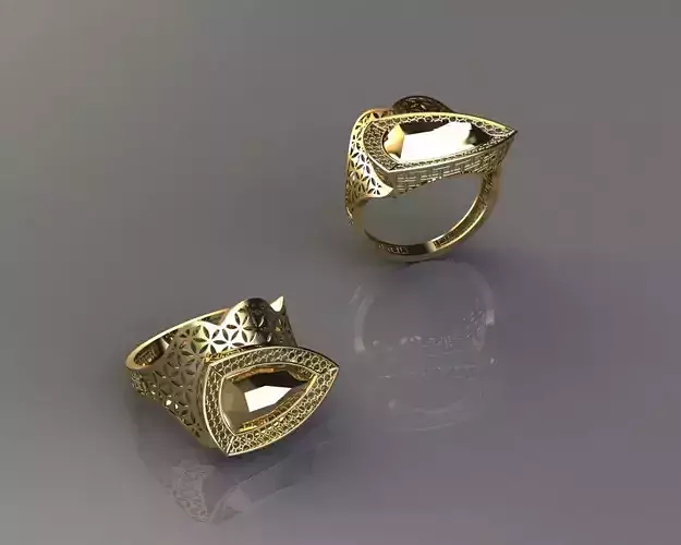 torturial ring 3D print model