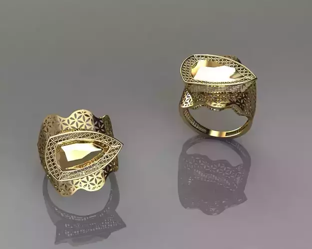 torturial ring 3D print model