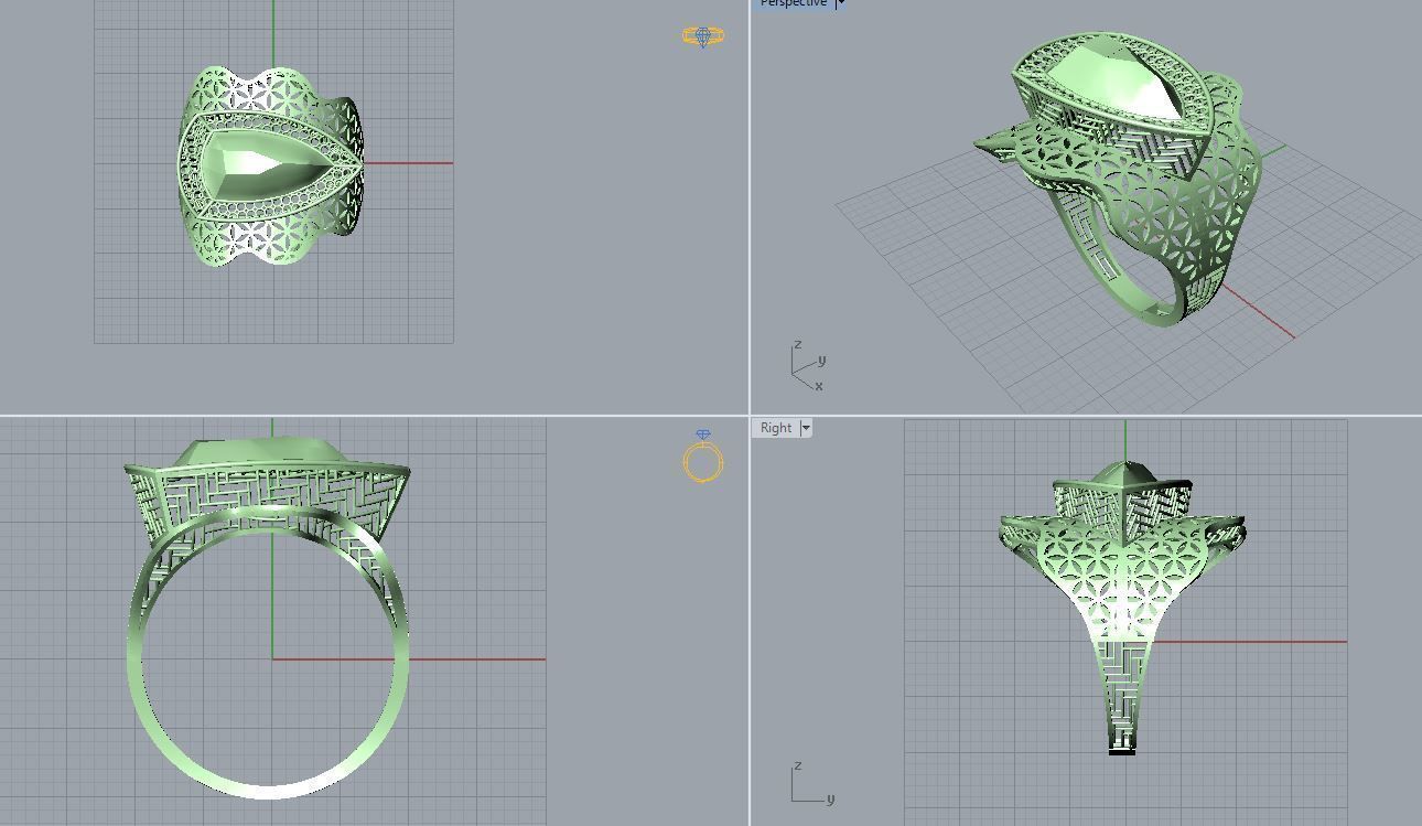 torturial ring 3D print model_3
