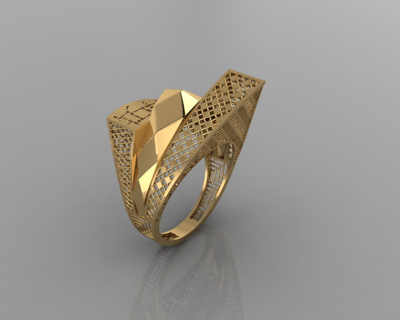torturial ring 3D print model_3