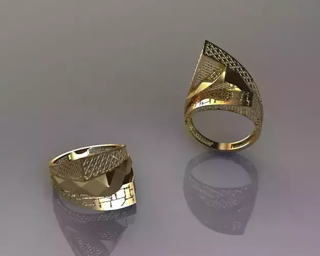 torturial ring 3D print model
