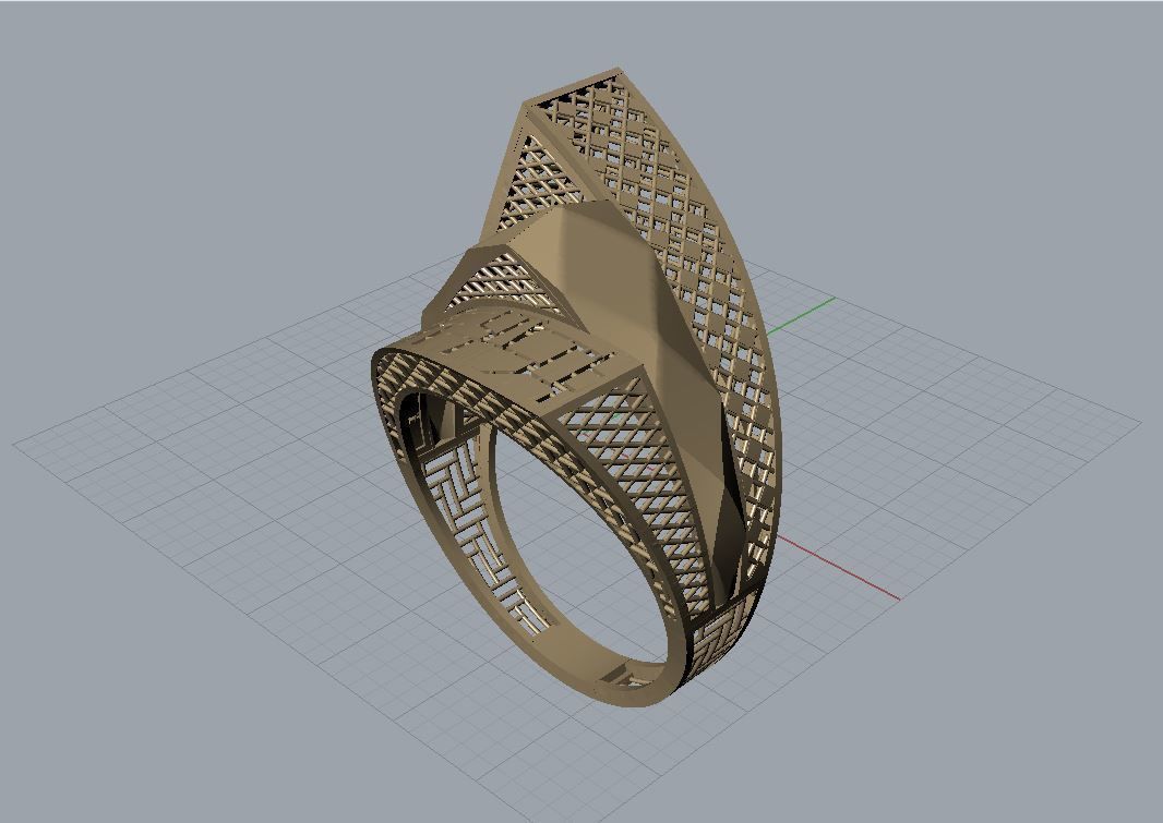 torturial ring 3D print model_6