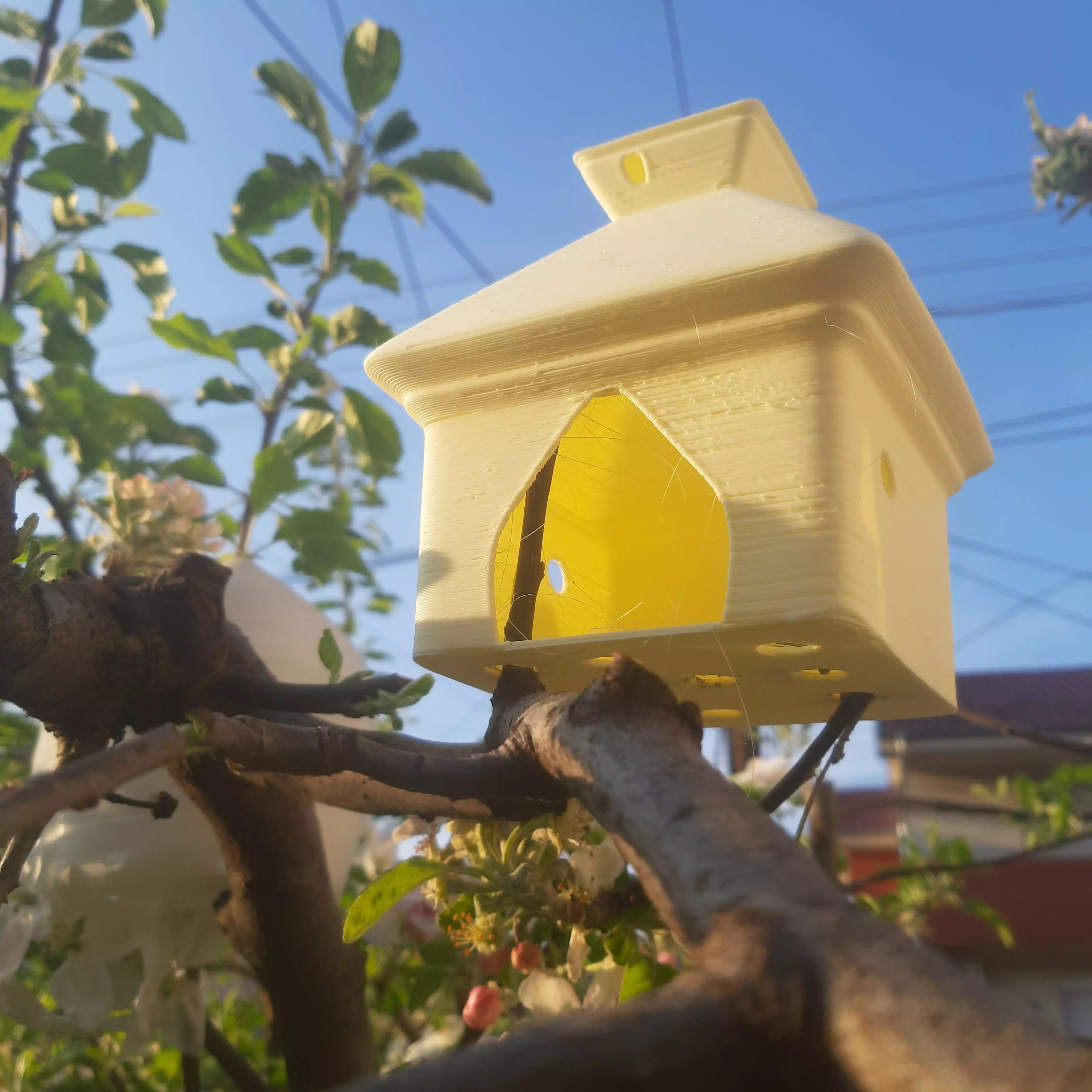 Birdhouse Smol Free 3D print model_0