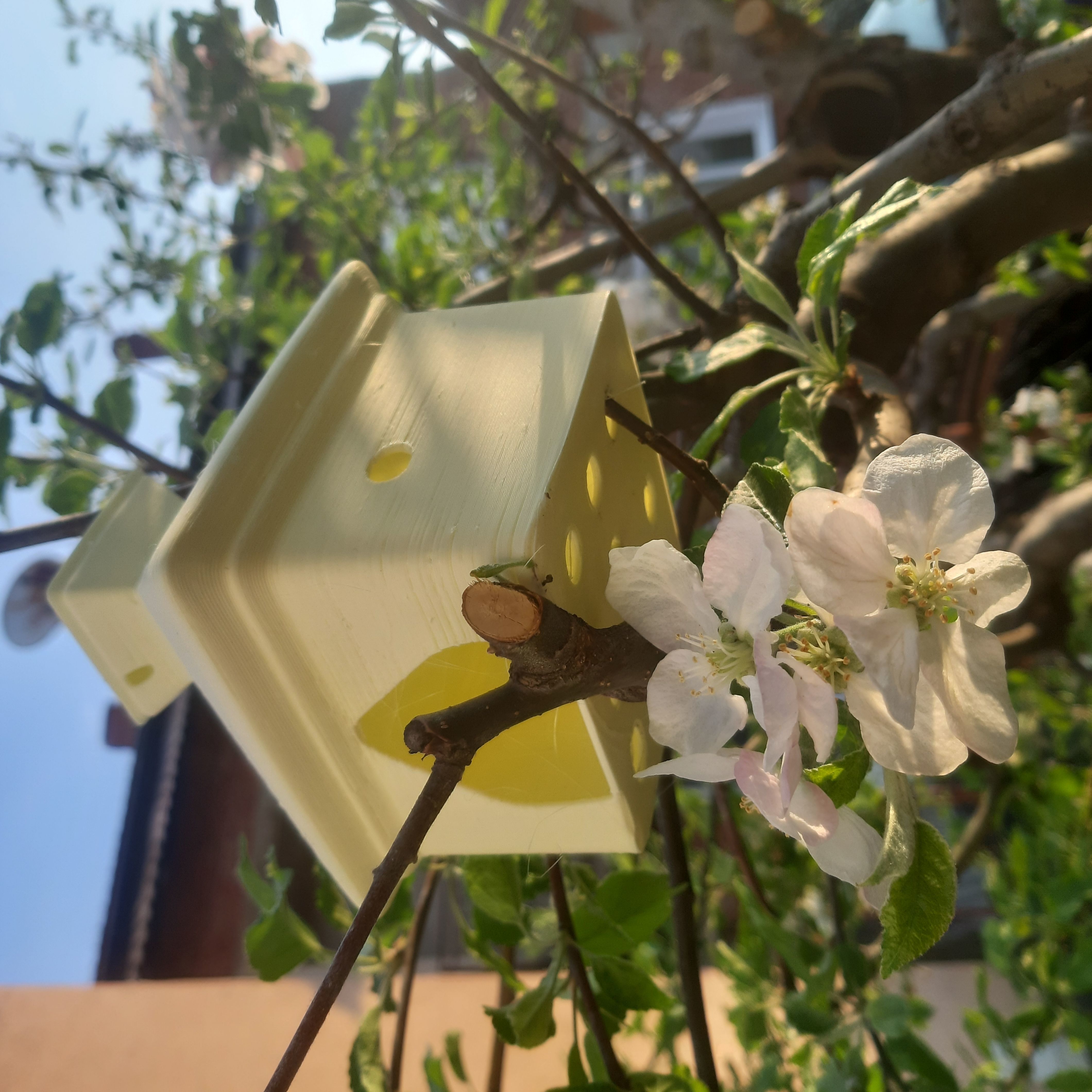 Birdhouse Smol Free 3D print model_4