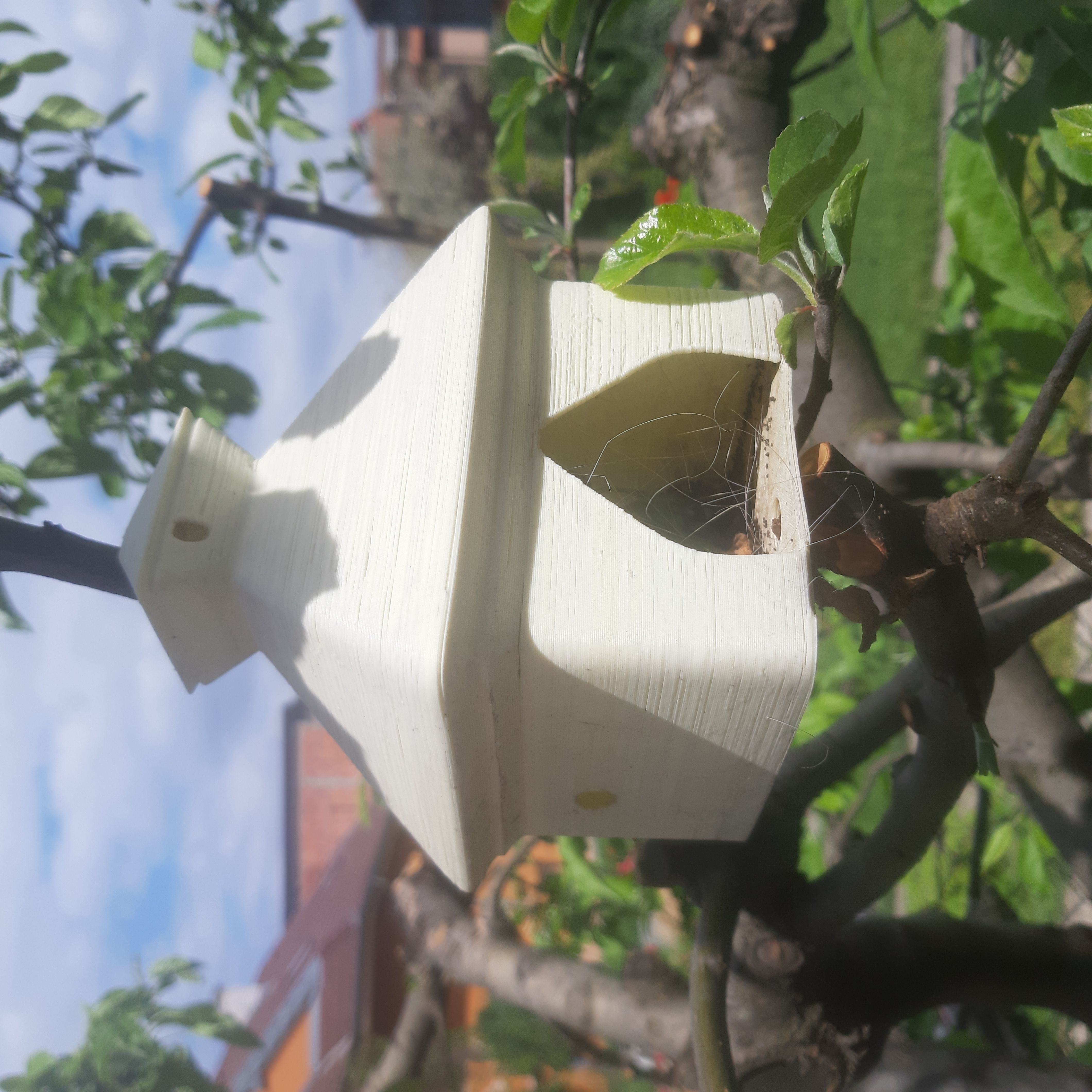 Birdhouse Smol Free 3D print model_7
