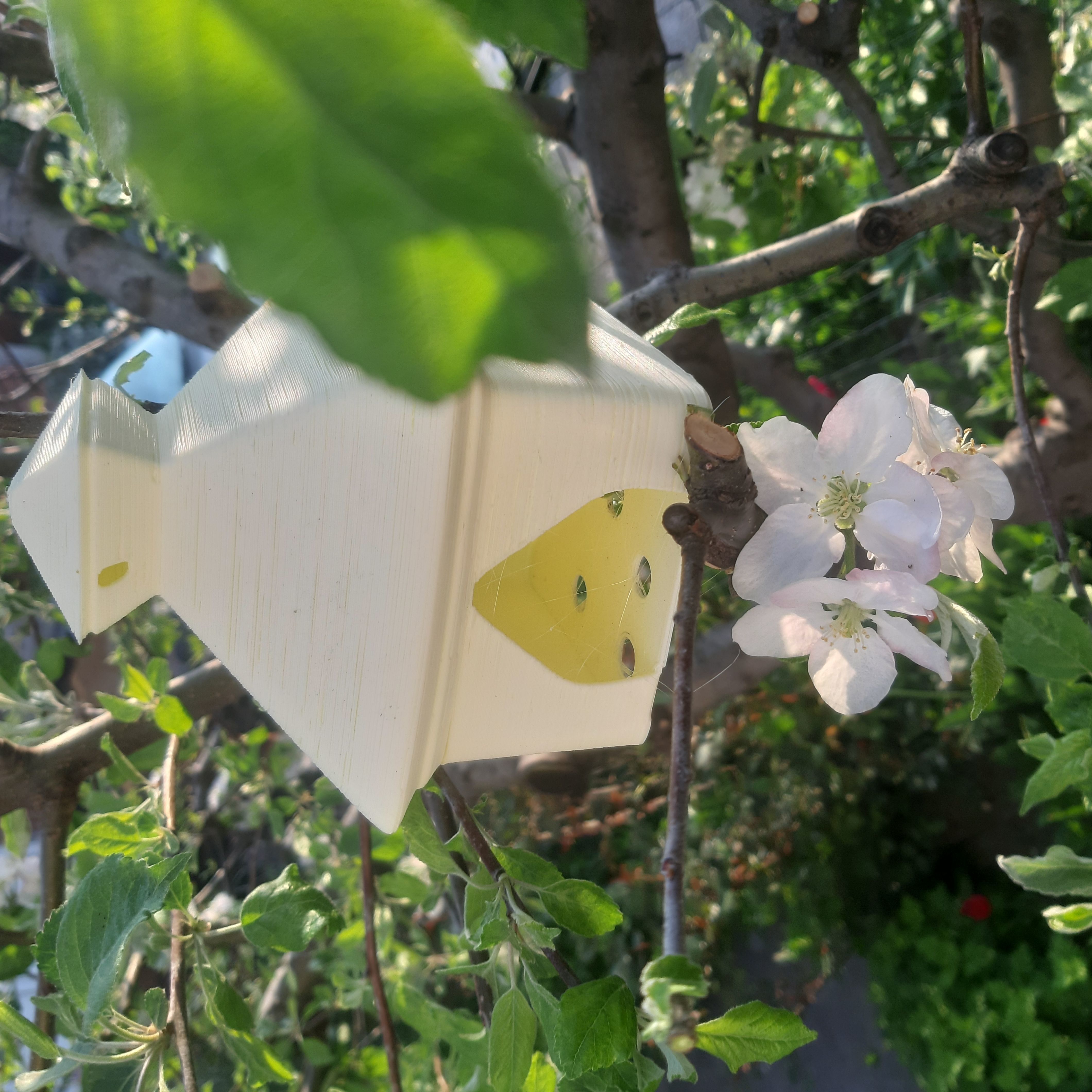 Birdhouse Smol Free 3D print model_3